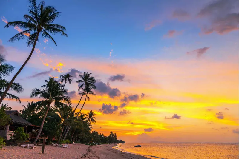 Sonnenuntergang über Palmen an einem Strand auf Koh Samui