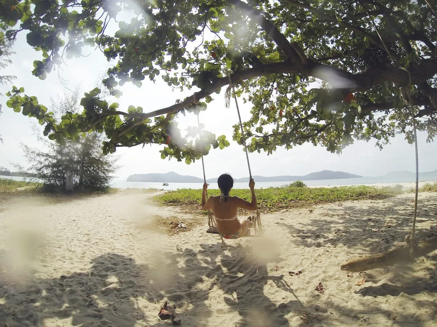 Eine Strandschaukel hängt an einem Baum, im Dunst die Silhouette einer Insel über dem Wasser