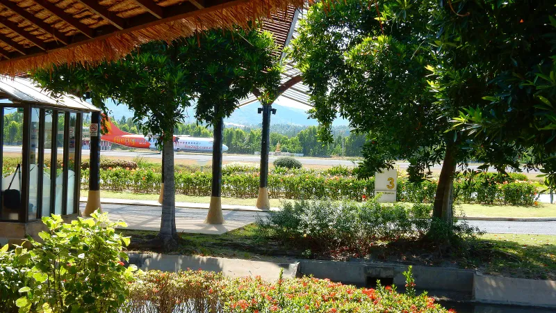 Avion à turbopropulseurs roulant entre palmiers et haies, vu depuis le terminal en plein air de l'aéroport de Samui