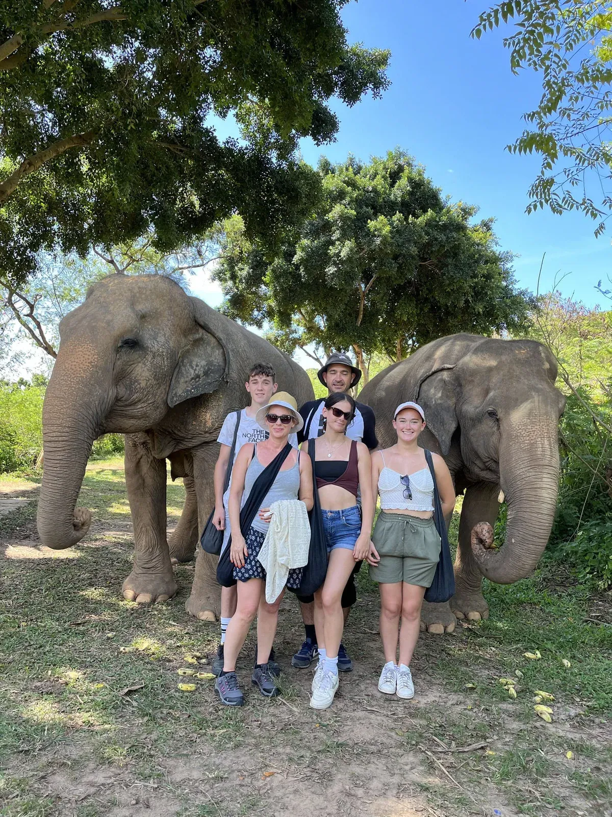 A family standing beside two elephants at Samui Elephant Sanctuary, no saddles or riding gear