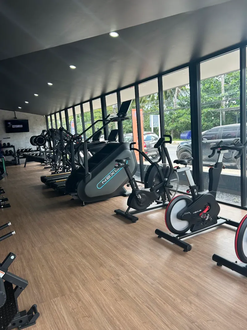Cardio machines in a row beside floor to ceiling windows