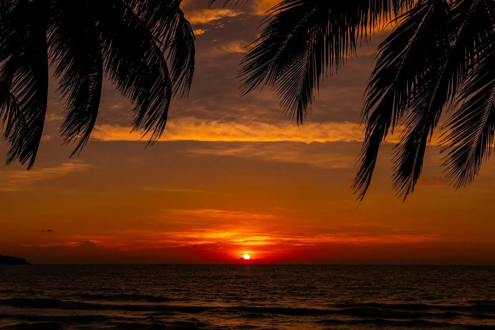 Palmes en silhouette encadrant le soleil à l'instant où il touche l'horizon marin au large de la plage de Lipa Noi, Koh Samui, sous un ciel orange et rouge profond aux nuages étagés