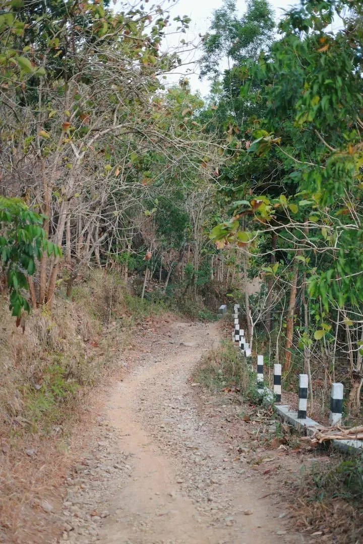 Steep jungle ridge terrain in Koh Samui's mountainous interior above Maenam