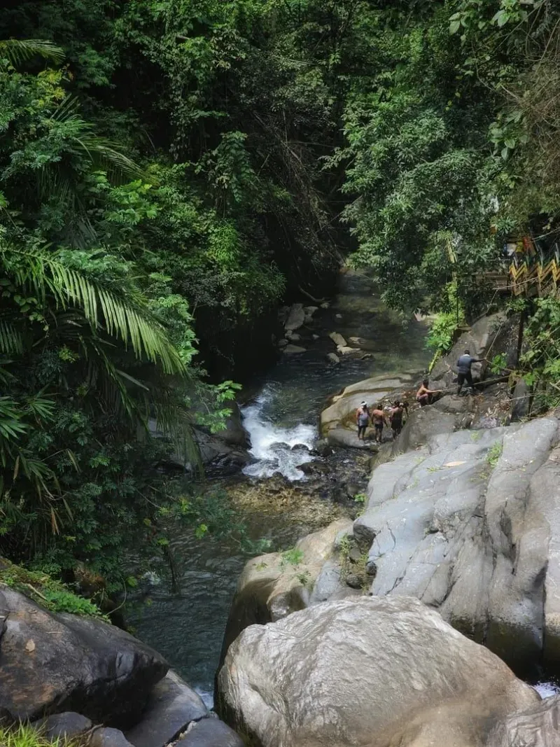 Rope-assisted jungle trek section on Koh Samui's Tartain Waterfall trail