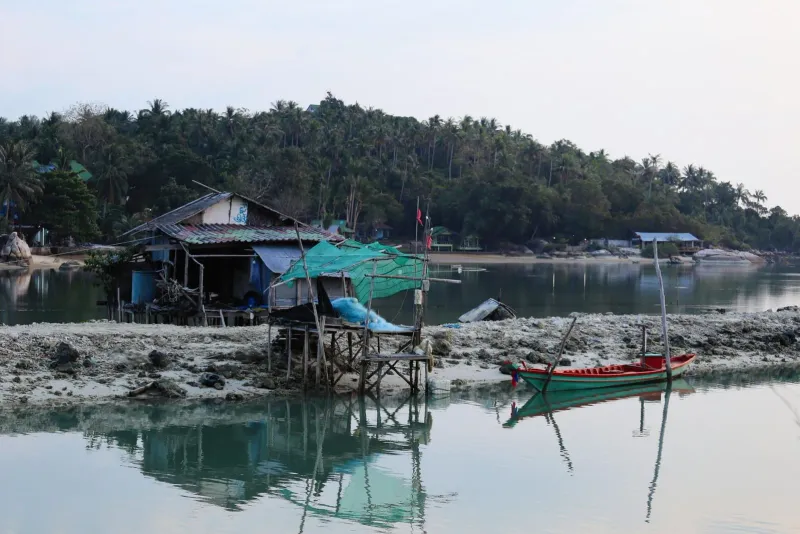 Longtail boats lined up at Thong Krut pier on Koh Samui's south coast