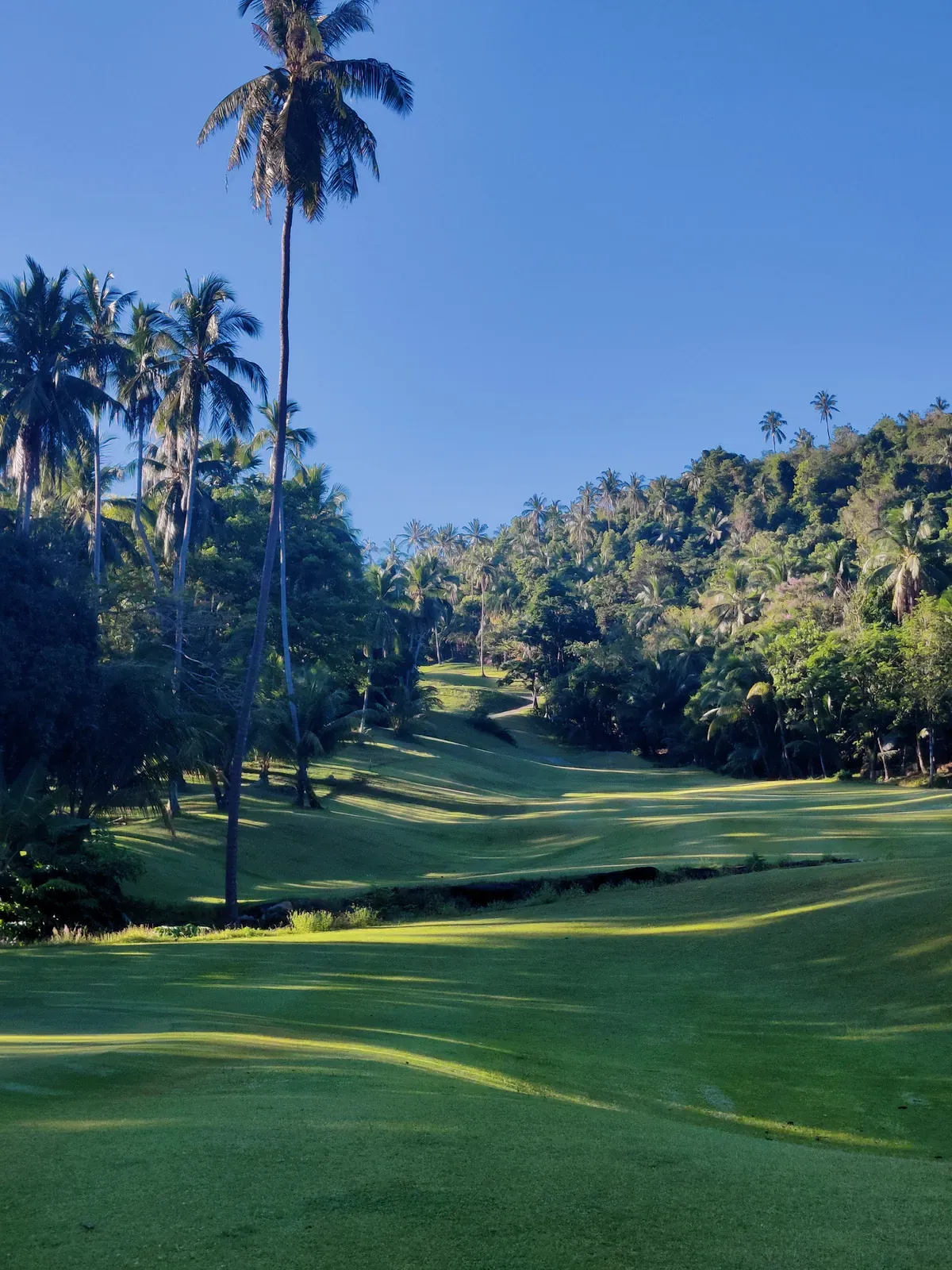 An elevated fairway winding through jungle and palms at Santiburi Samui Country Club, showing the course's hillside terrain