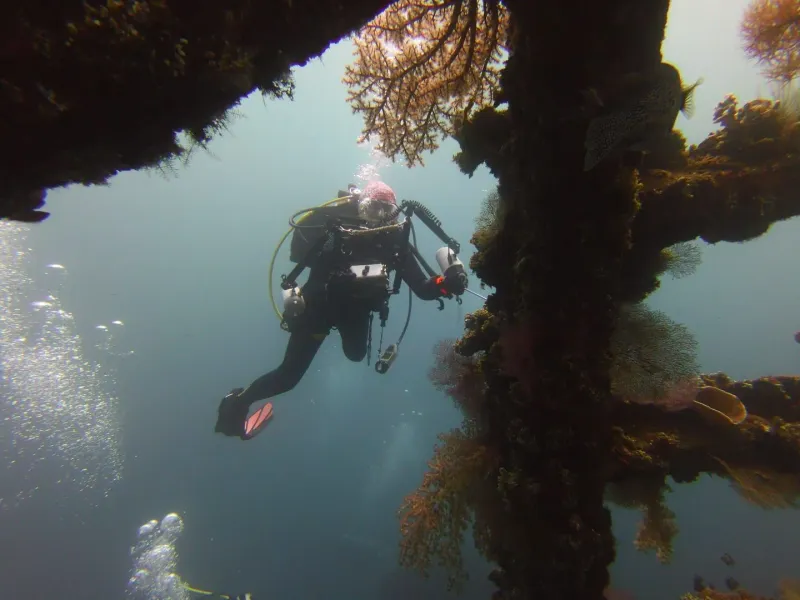 Scuba diver exploring a vibrant coral reef, representative of Sail Rock's granite walls