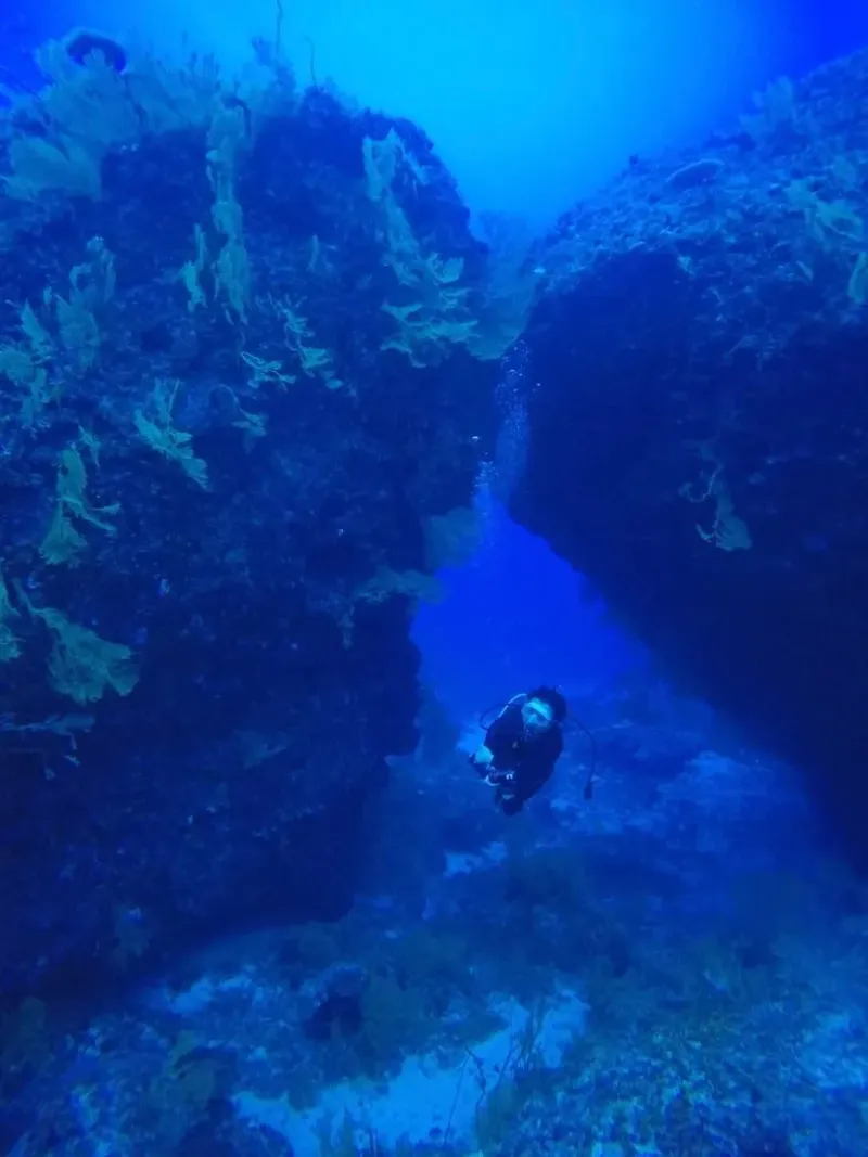 Diver navigating an underwater coral canyon in deep blue water off Thailand