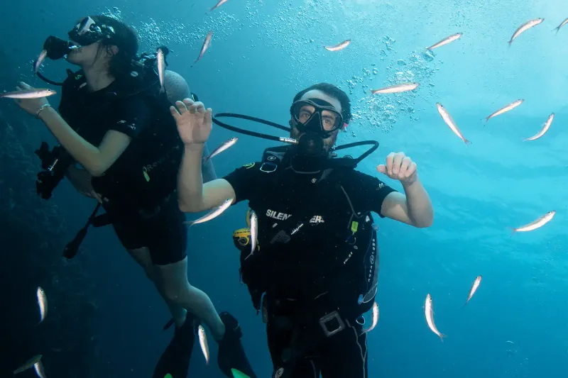 Two divers giving the okay signal underwater among small fish