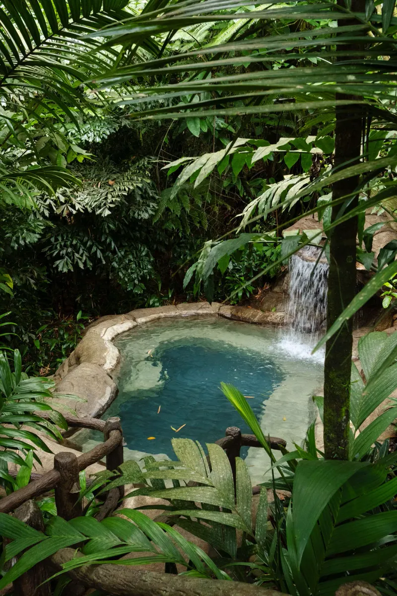 Idyllisches Wasserfallbecken inmitten dichten Dschungellaubs