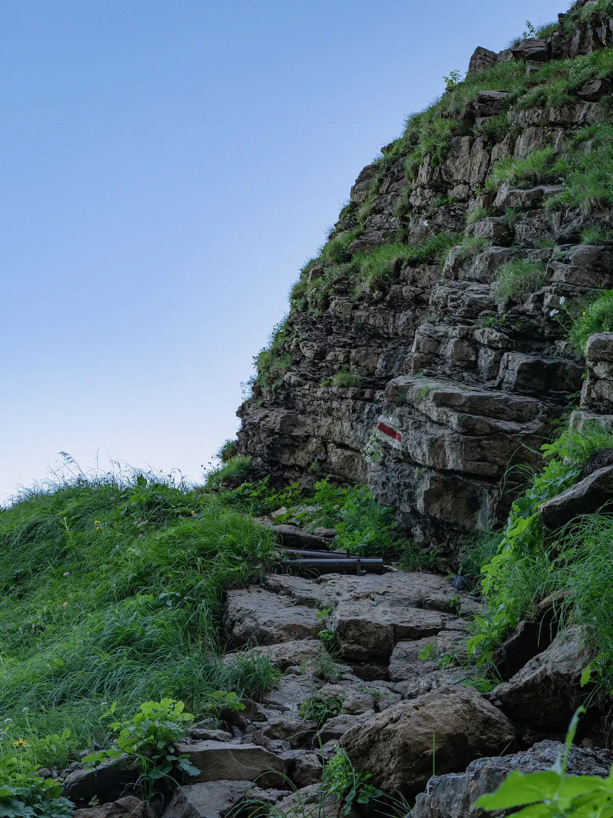 Escalones rocosos y empinados suben por una ladera cubierta de hierba y bosque