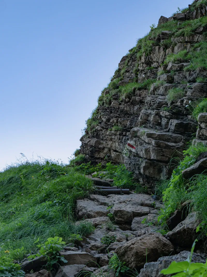 Steep rocky trail steps climbing a grassy, forested hillside