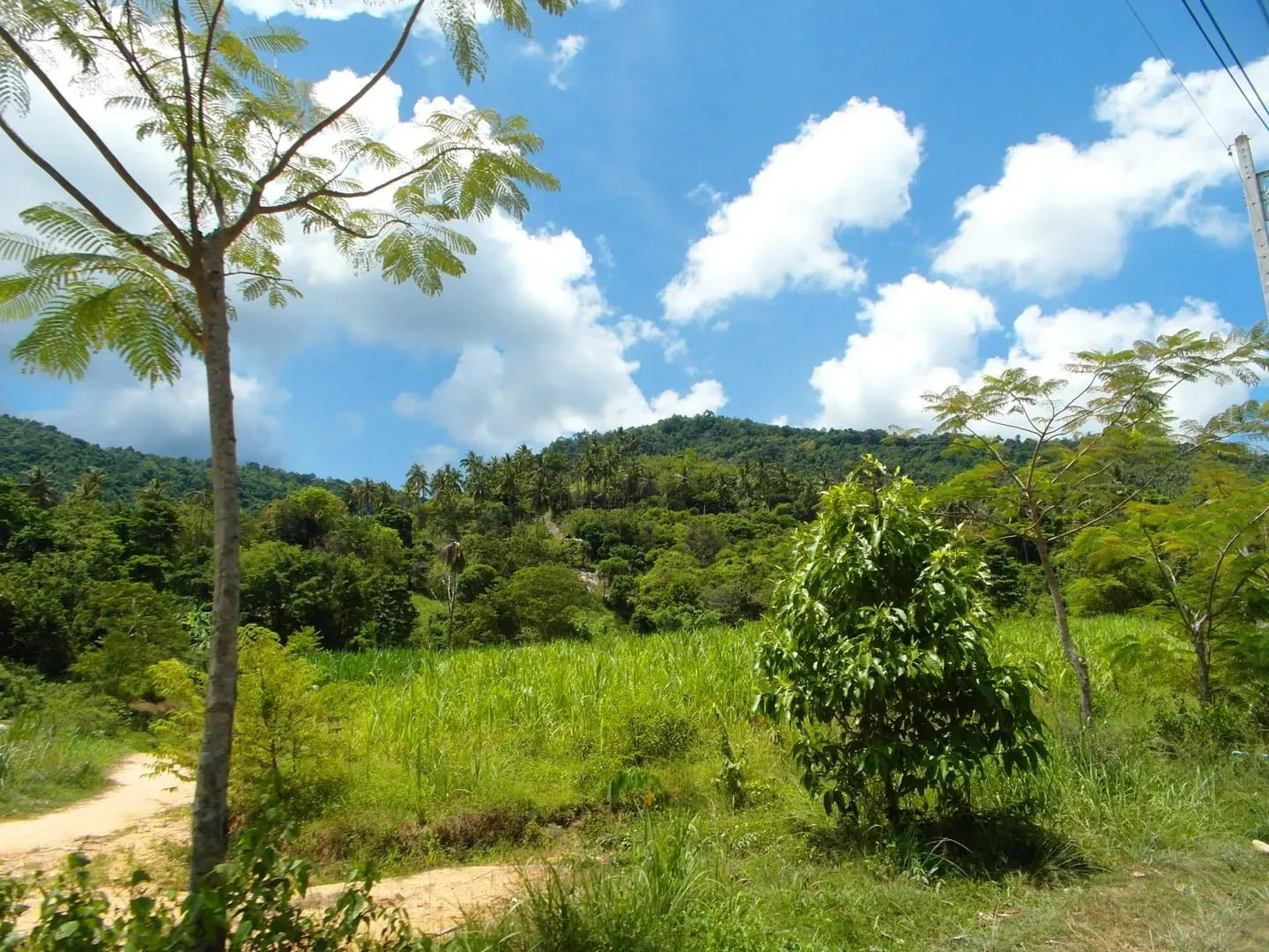 Secret Buddha Garden Trail, Koh Samui: Ansicht 4