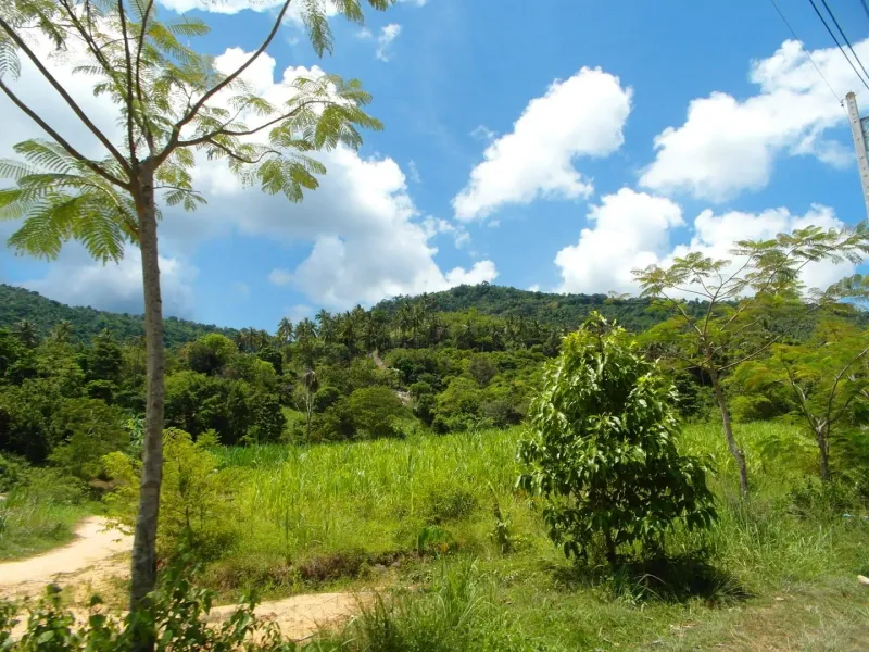 Rural greenery and forested hills in Koh Samui's interior near Na Mueang