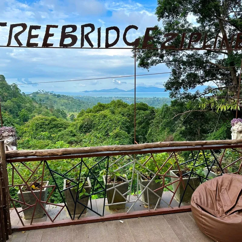 Blick von der Tree Bridge Zipline-Plattform über das Dschungeltal