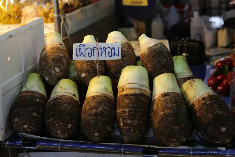 Root vegetables and taro stacked at a Thai market used for cooking class ingredients