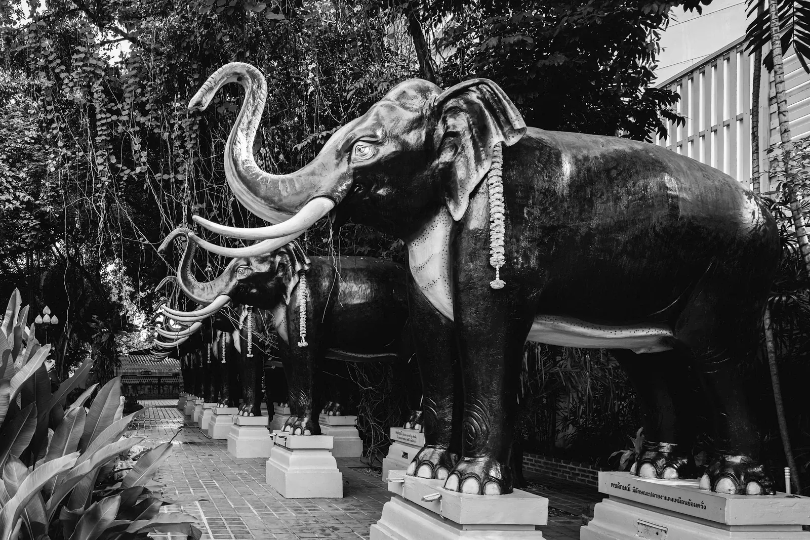 Wat Kiri Wongkaram: The Peaceful Mummified Monk of the West