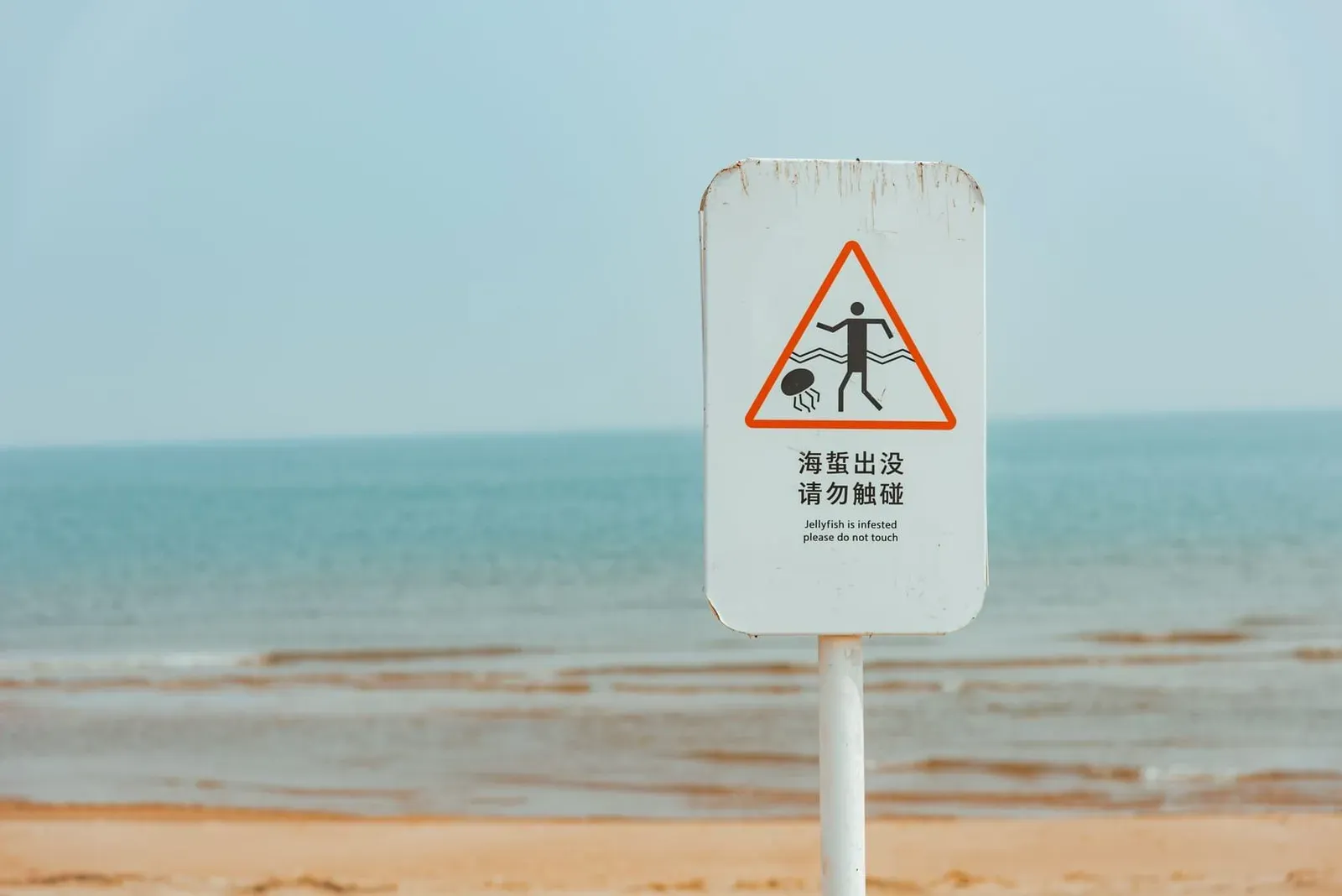 Jellyfish warning sign on a calm tropical beach similar to Koh Samui's east coast