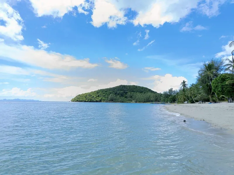 Eine grüne Insel erhebt sich aus ruhigem Wasser neben einem palmengesäumten Strand