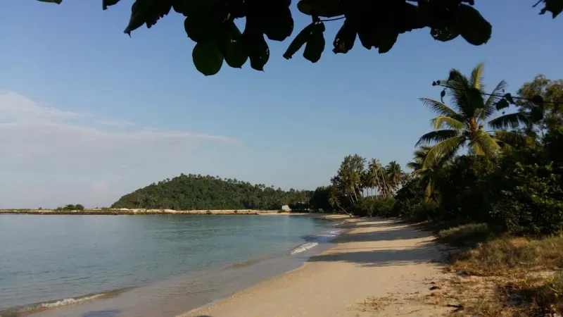 Eine bewaldete Insel nahe der Küste, gesäumt von Palmen an einem Sandstrand