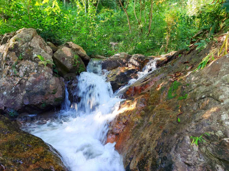 Dschungelwasserfall mit türkisfarbenem Felsbecken