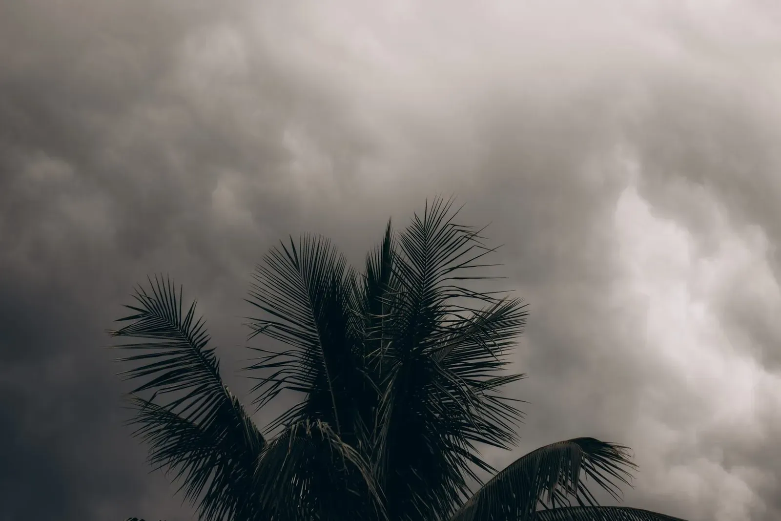 Koh Samui Rainy Season — When It Rains, How Bad It Gets & Whether to Go