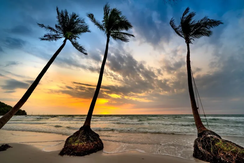 Palm trees swaying over calm water on Koh Samui as skies clear after a monsoon shower
