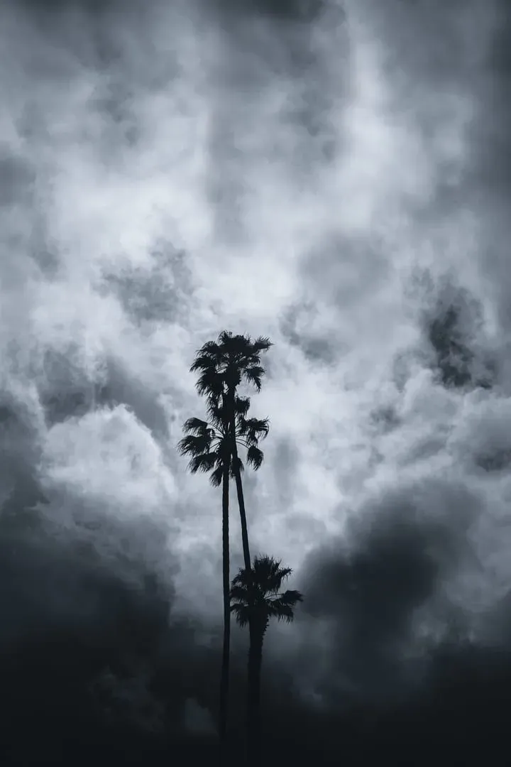 Silhouetted palm trees against moody rainy season storm clouds on Koh Samui's coast