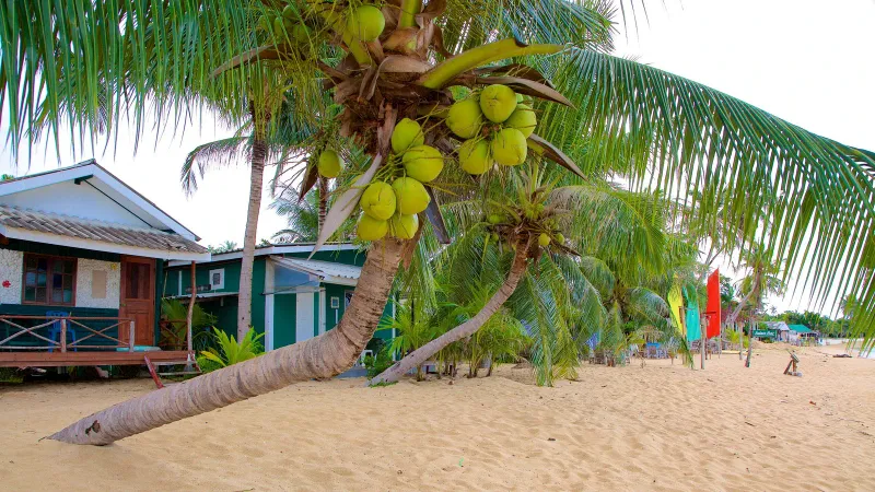 Mae Nam coastal area near W Koh Samui, Koh Samui