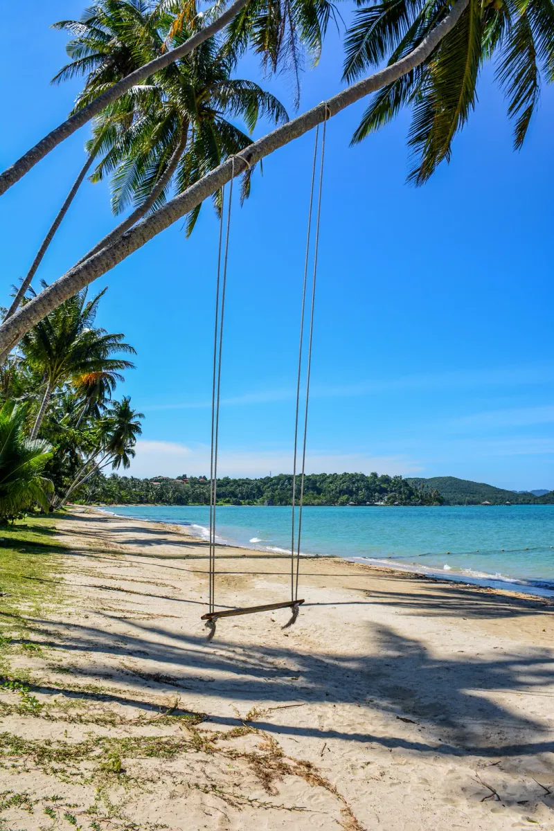 Palm-fringed beach setting near Koh Samui's north coast resorts
