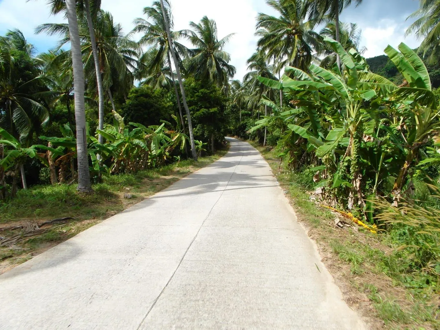 Wang Sao Thong Trail: Koh Samui's Easiest Waterfall Walk