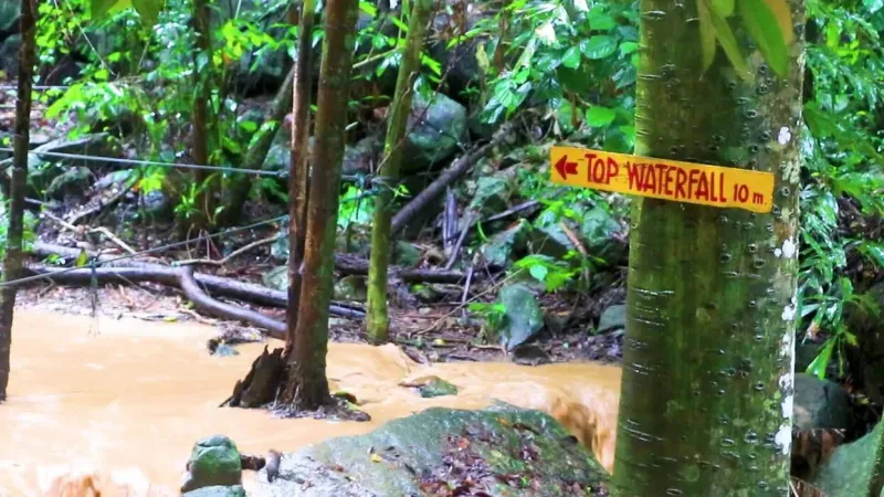 "Top Waterfall"-Wegweiser entlang des Dschungelpfads
