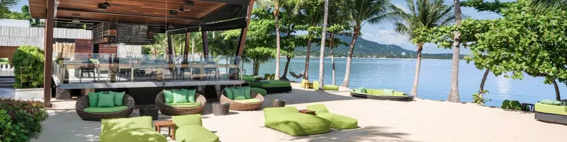 Green beanbags and loungers on the sand beneath palm trees at WOOBAR's beachfront area