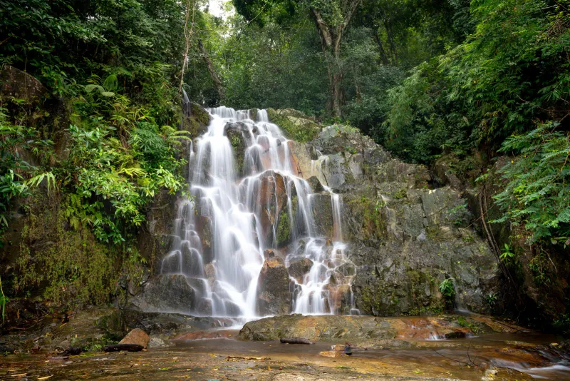 Ruhiger Wasserfall durch dichten Wald mit felsigen Kaskaden