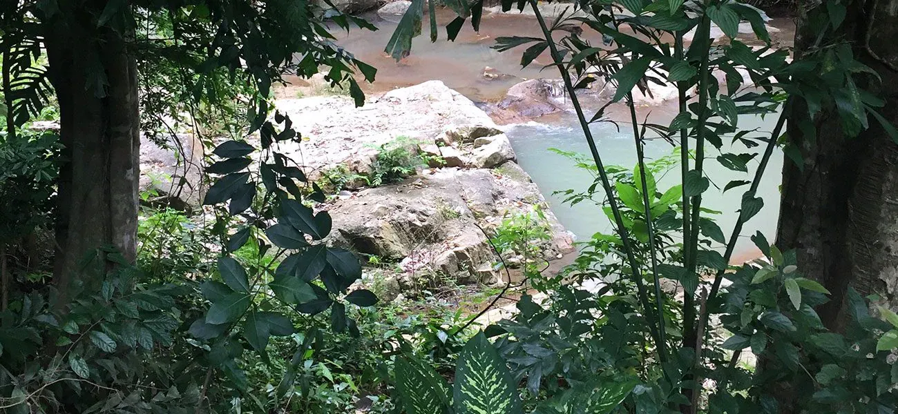 Felsiger Pool am Zong Raue Wasserfall, gesehen durch das umgebende Plantagenlaub