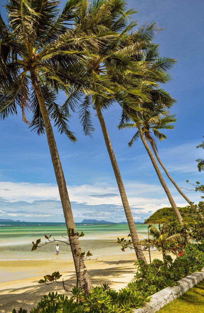 Tall coconut palms lining a quiet cove close to Laem Sor Pagoda beach