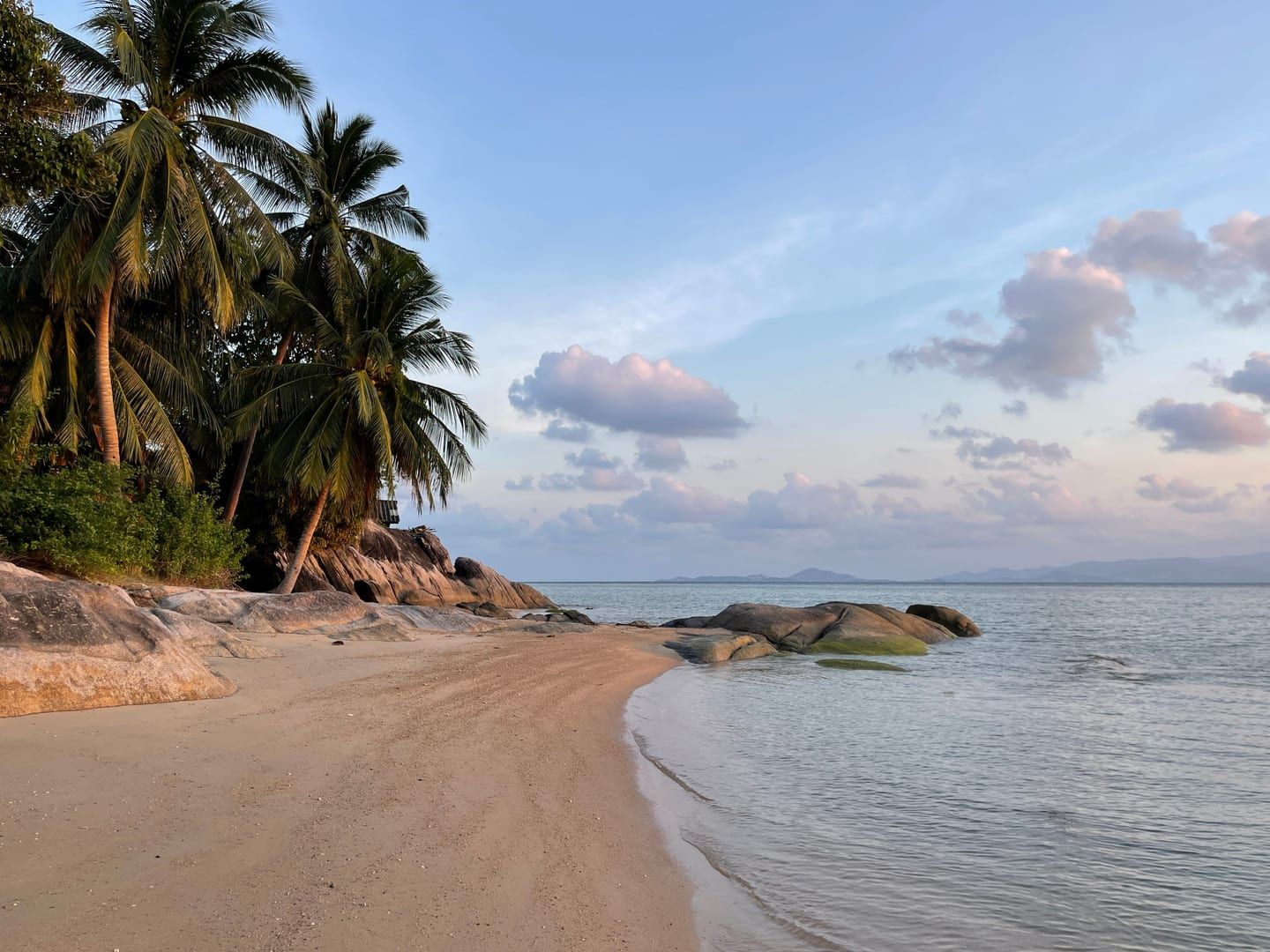 Palm trees leaning over the quiet sand at Na Thian Beach Koh Samui under a blue sky