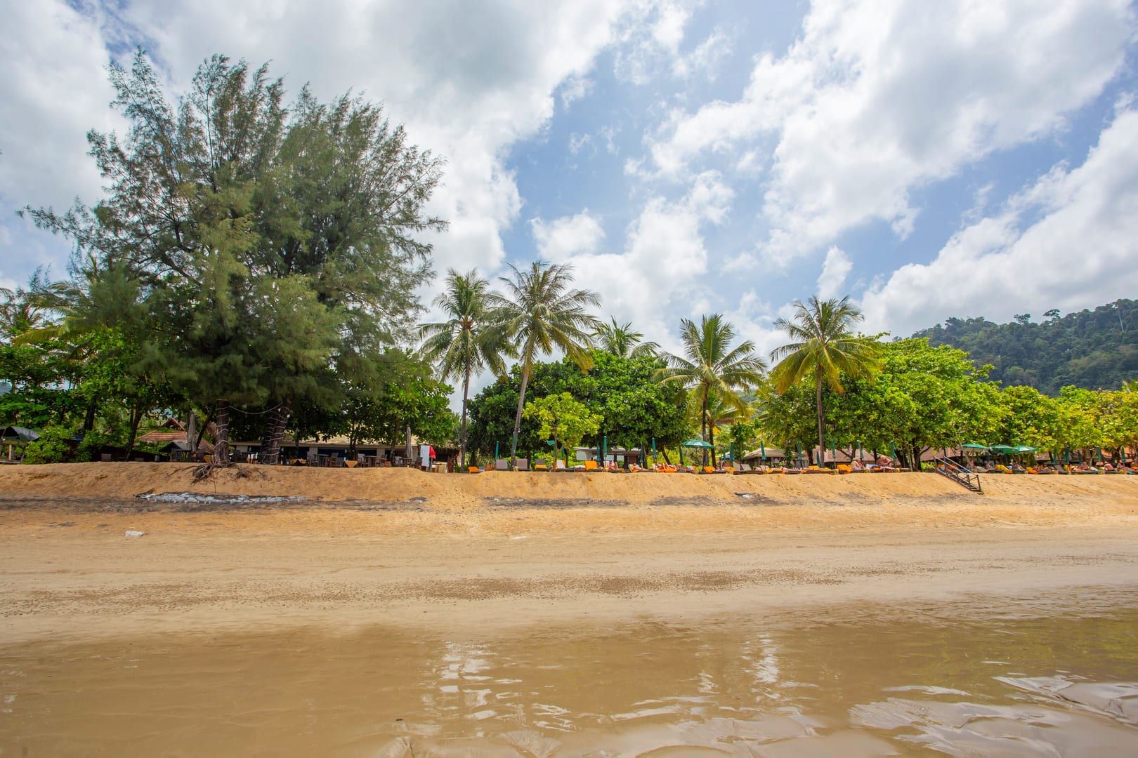 Tranquil tropical shoreline with palm trees near Phang Ka Beach Koh Samui