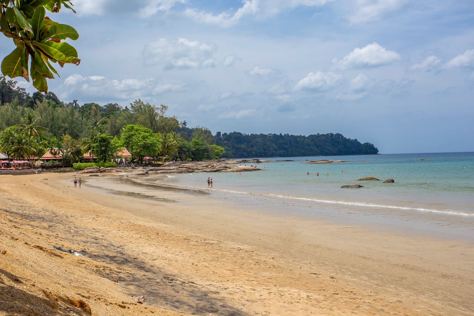 Sandy beach with green tree line under a clear sky near Phang Ka Koh Samui