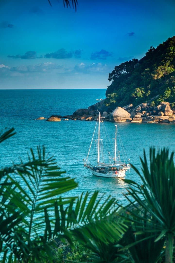 Sailboat near lush Koh Samui coastline framed by palm leaves at Crystal Bay