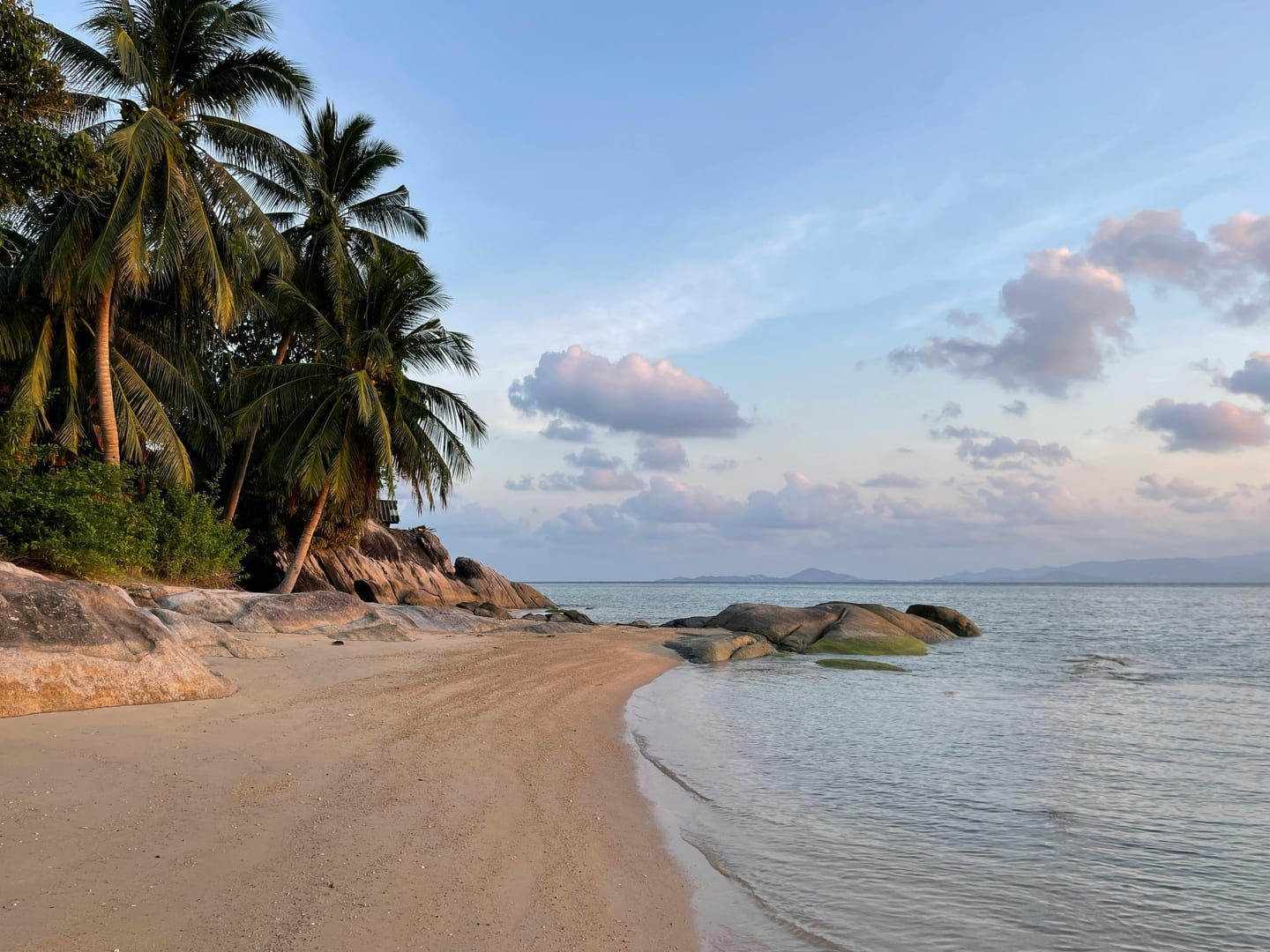 Palm trees and sandy shore at quiet Taling Ngam Beach Koh Samui