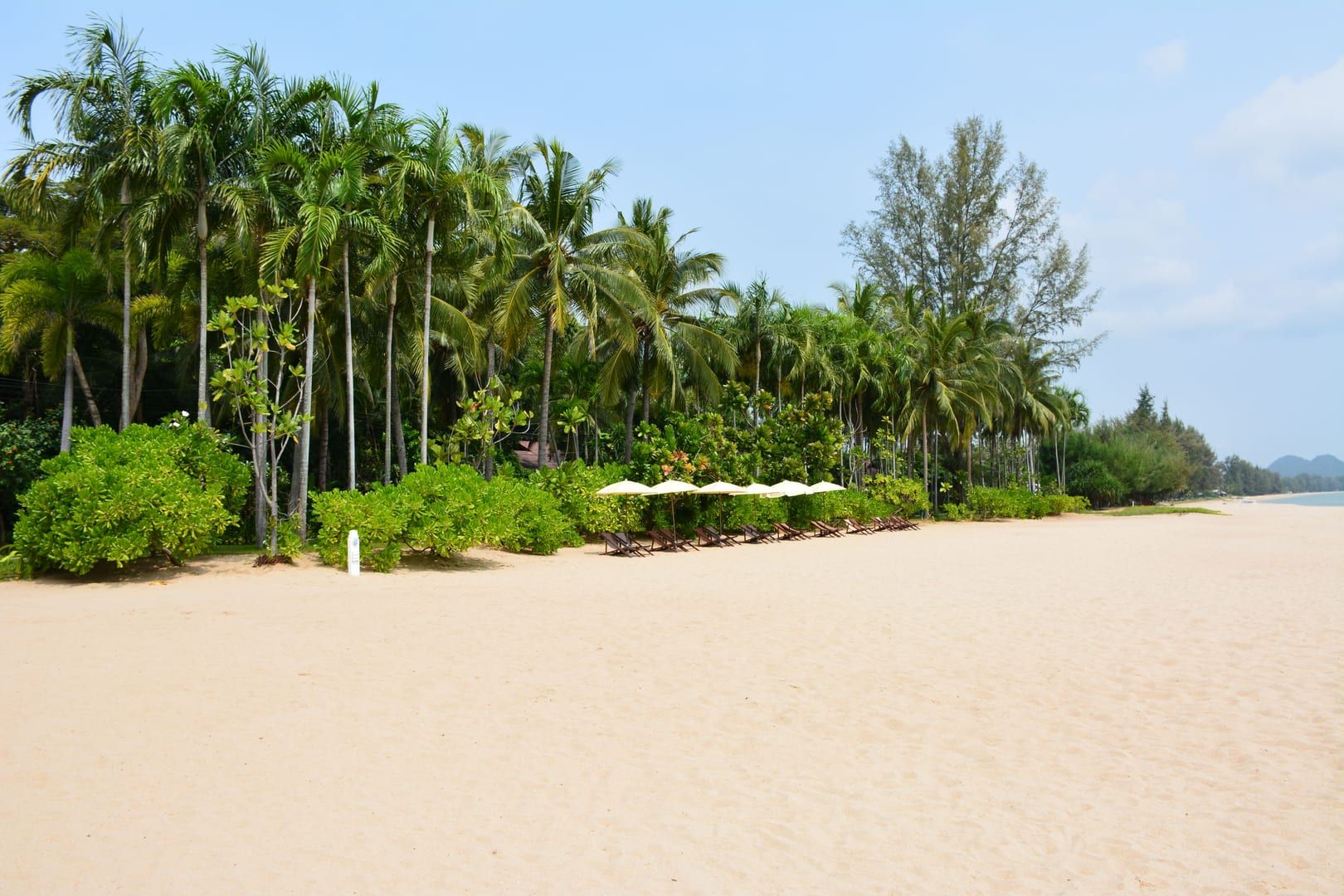 Palm-lined shoreline near Thong Krut Beach Koh Samui with calm sand and quiet fishing village atmosphere