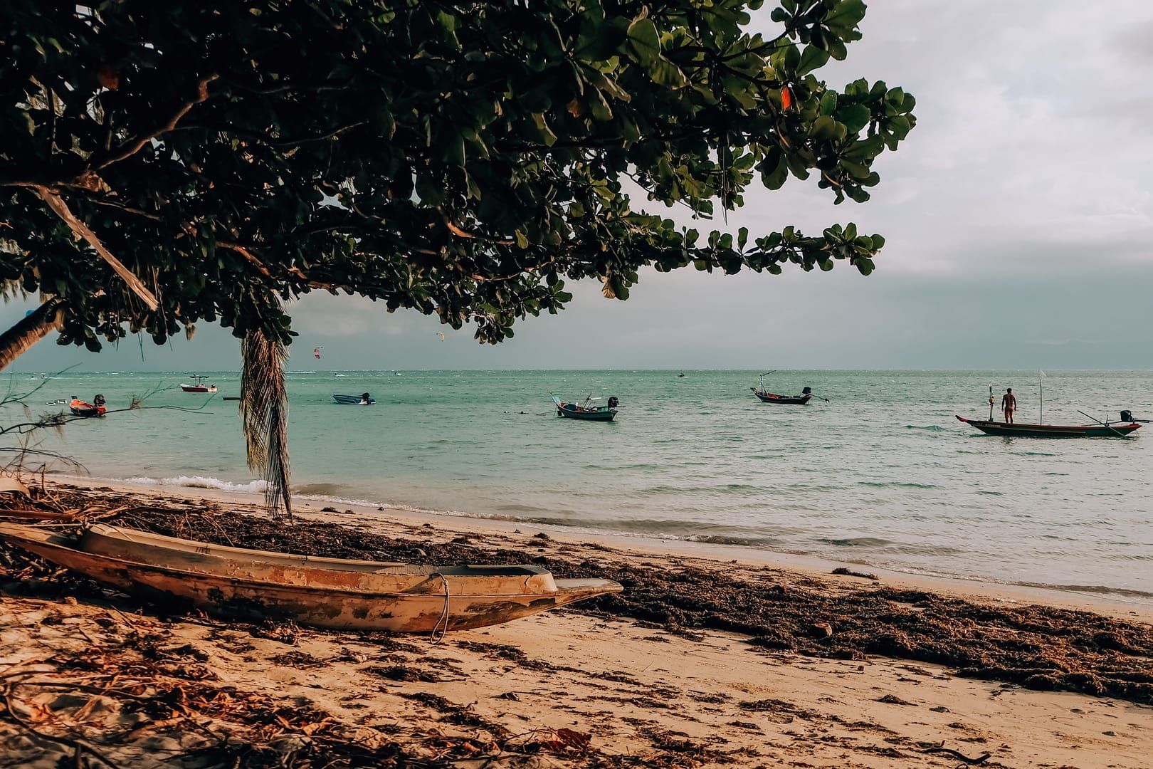 Traditional longtail fishing boats moored near Thong Krut pier at dusk on Koh Samui's south coast