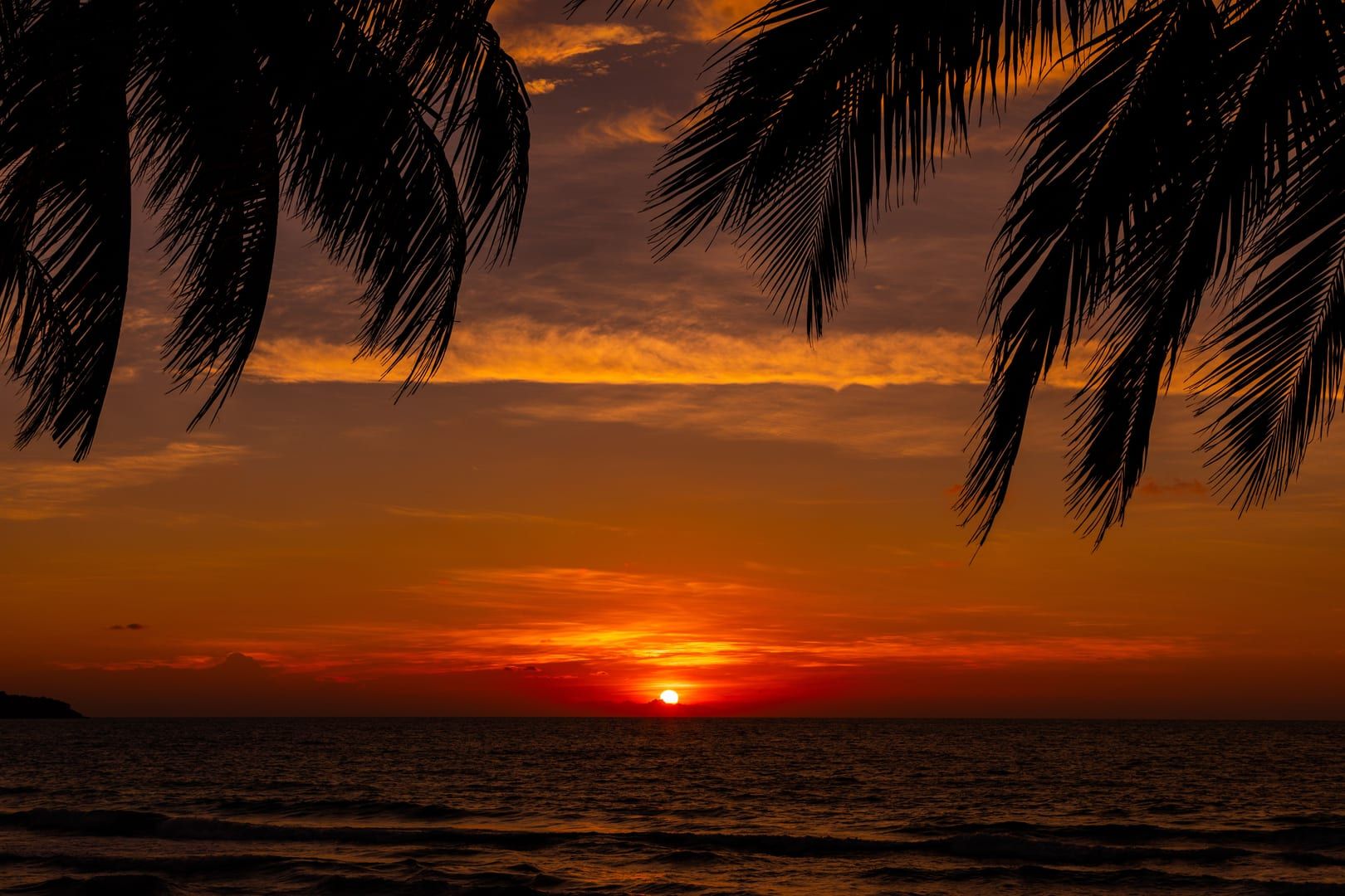 Sunset light over the Gulf of Thailand seen through palm leaves from Tong Yang Beach Koh Samui