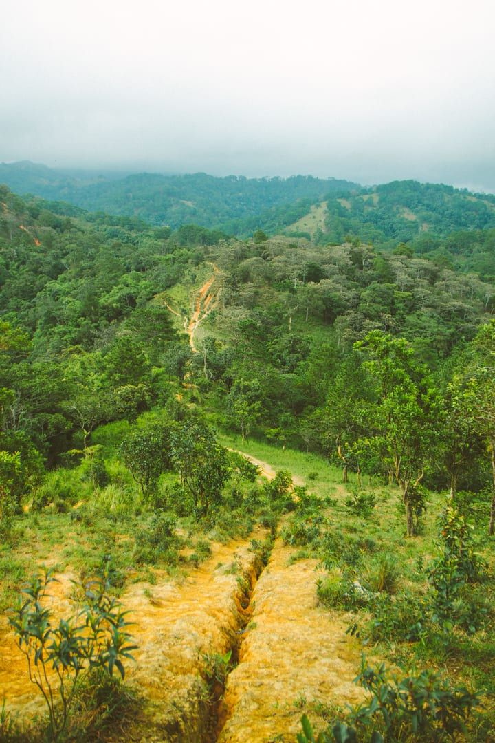 Misty green hills along the central highlands Koh Samui hiking route