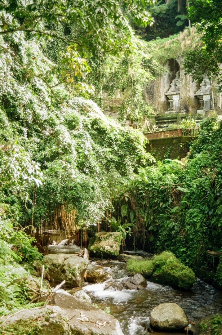 Jungle stream trail through tropical forest on the Hin Lad waterfall hike Koh Samui