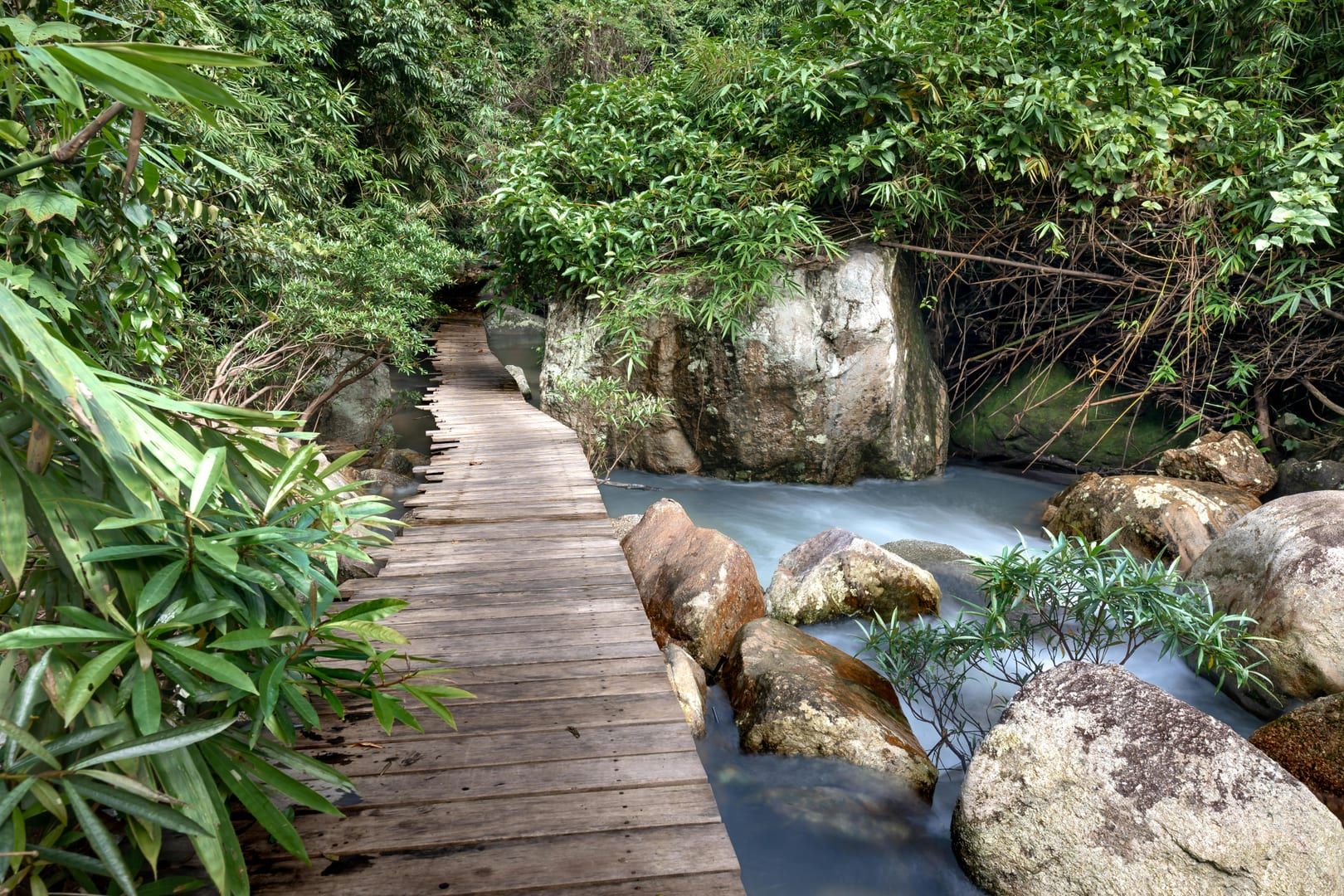 Wooden footbridge over stream in forest on Koh Samui nature walk
