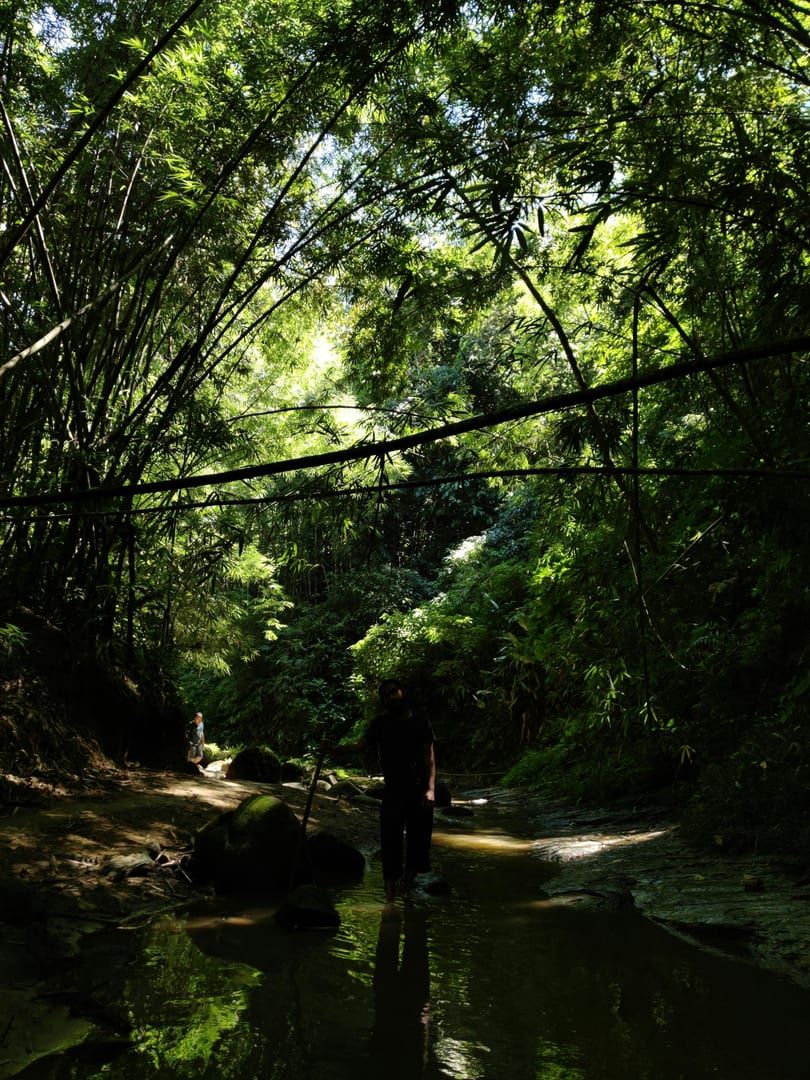 Exploring lush forest stream on Hin Lad trail Koh Samui jungle hike