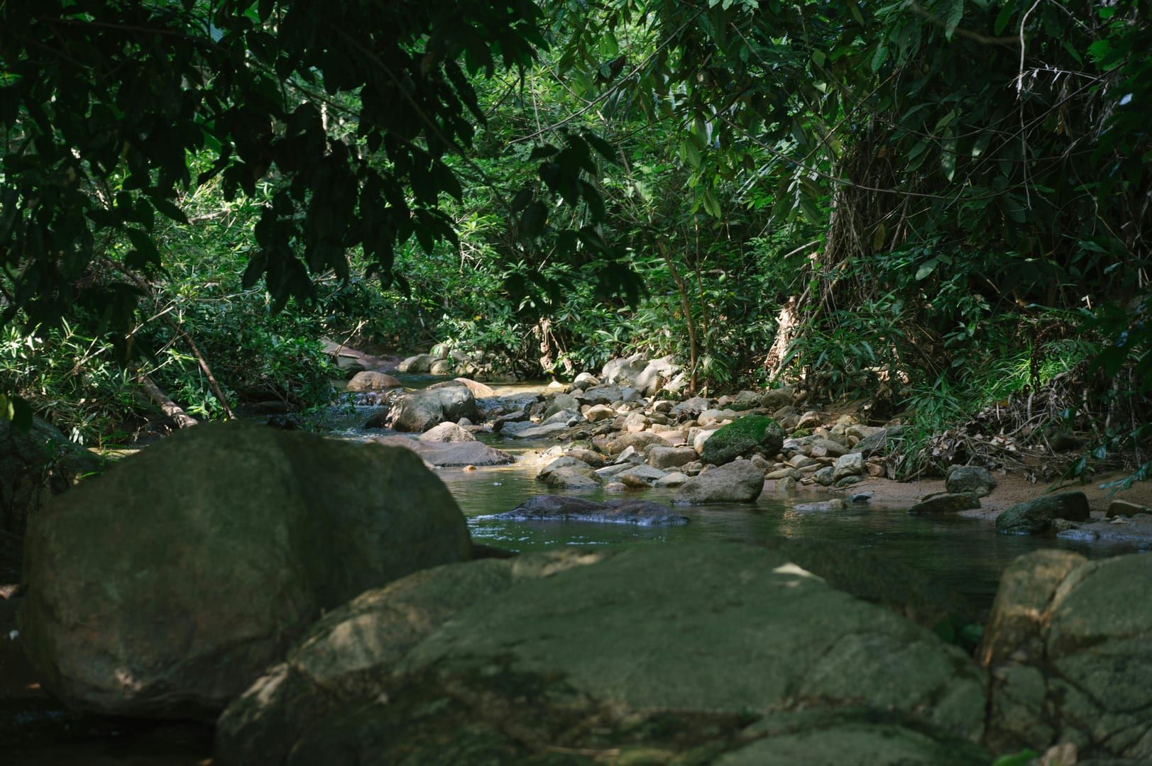 Rocks on stream in forest along best hikes Koh Samui