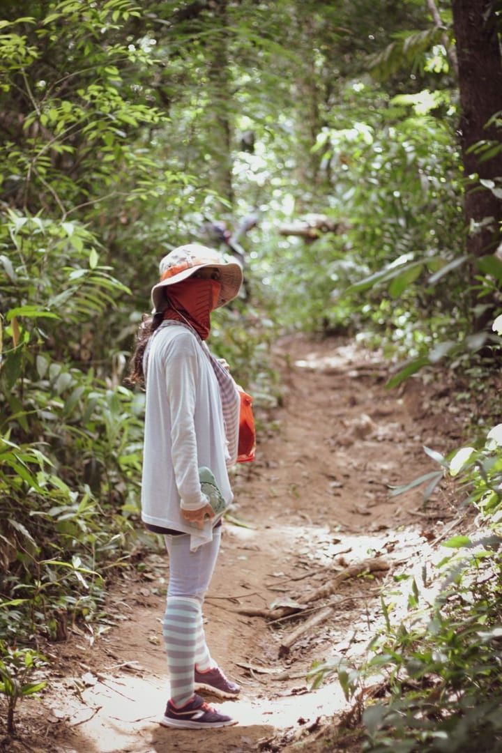 Hiker on a shaded jungle trail comparable to Koh Samui's Hog Trail forest hiking route